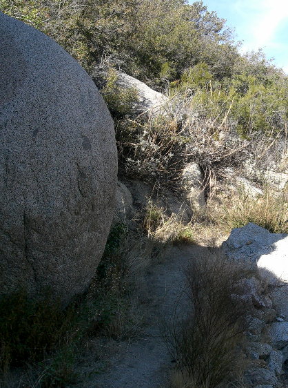 Much of the trail looked like this.